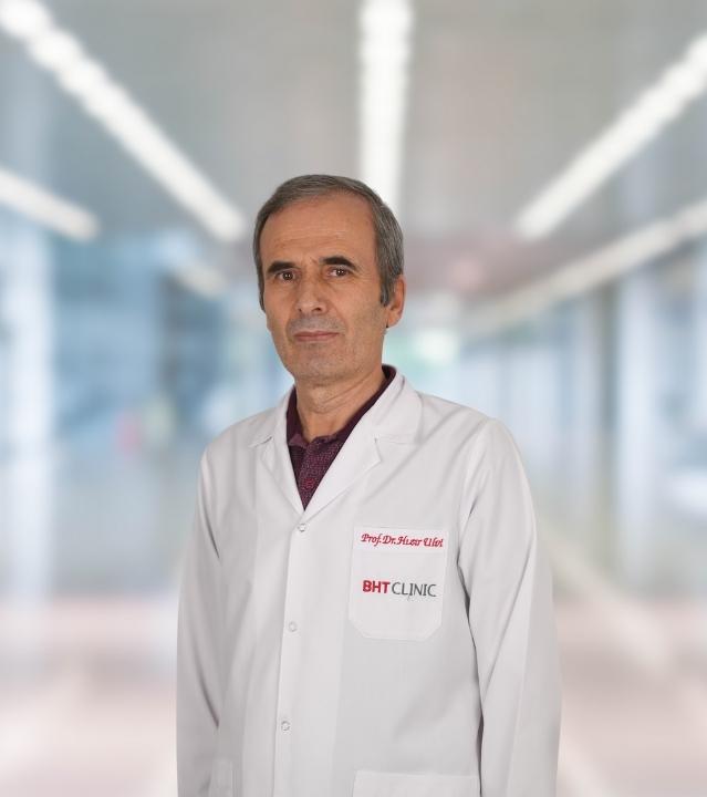 Prof. Dr. Hızır ULVI 