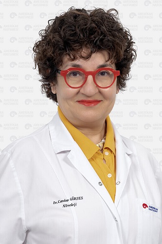 Prof. Dr. Candan Gürses