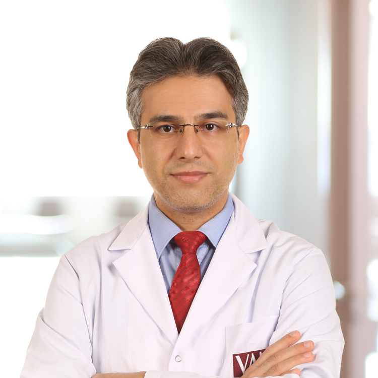Assoc. Prof. Dr. Fikri Demir 