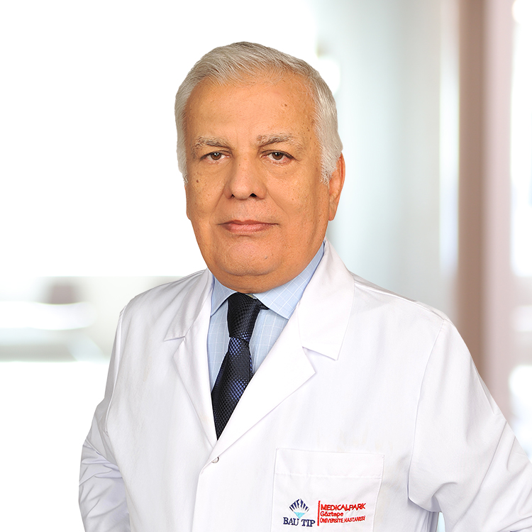 Prof. Dr. Adnan Yöney 