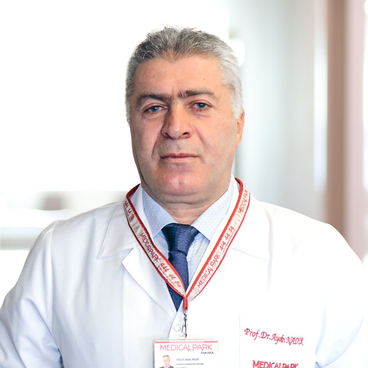 Prof. Dr. Aydın Nadir