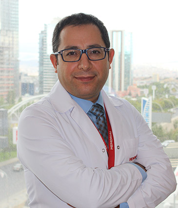 Prof. H. Ahmet DEMİR