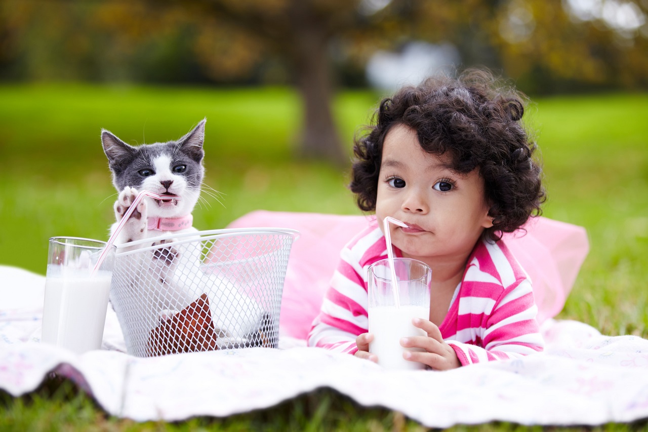 Does growing up with pets threaten the health of babies?