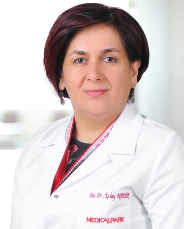 Prof. Dr. Işılay Nadir
