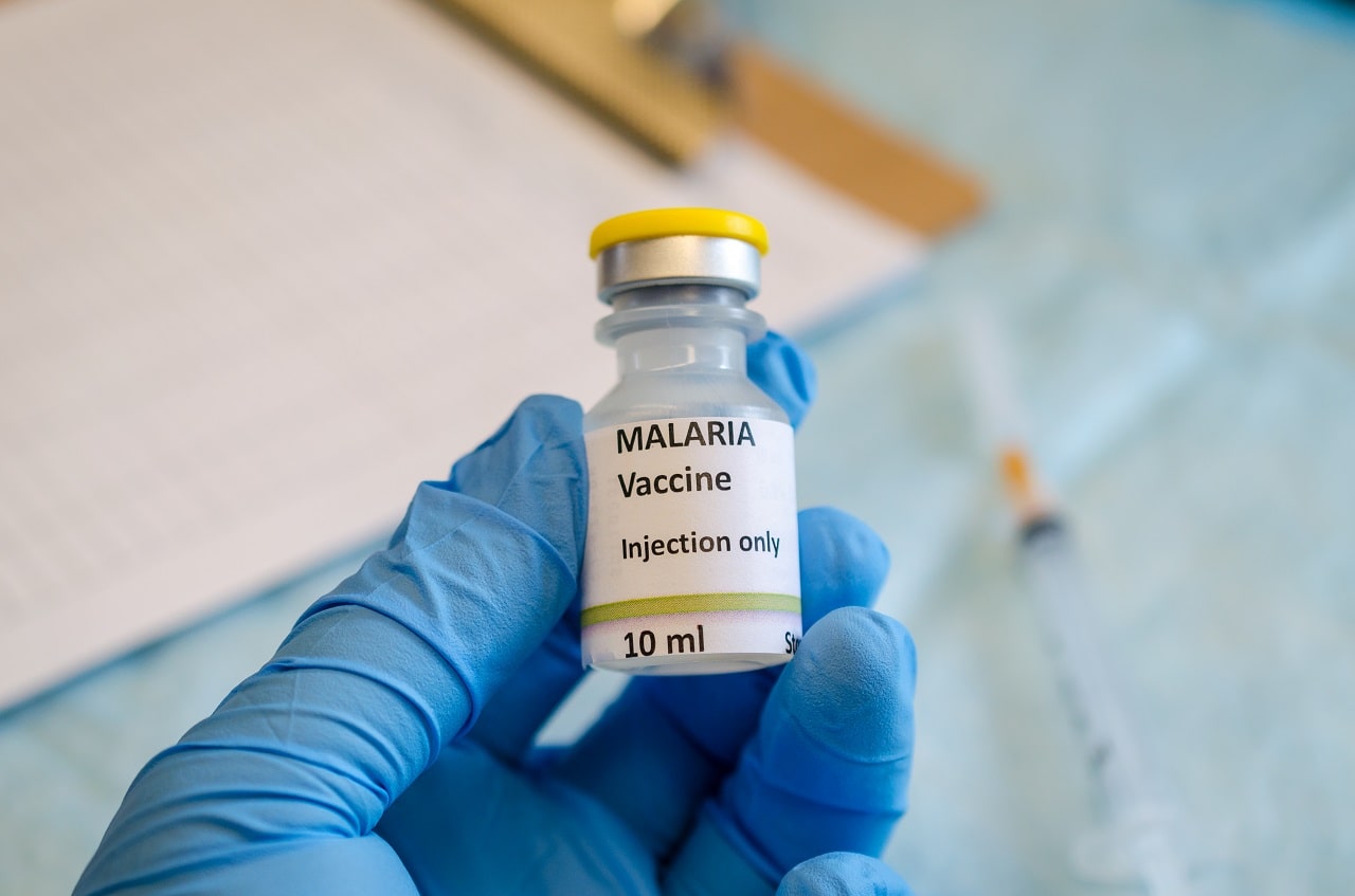 Everything About Malaria!