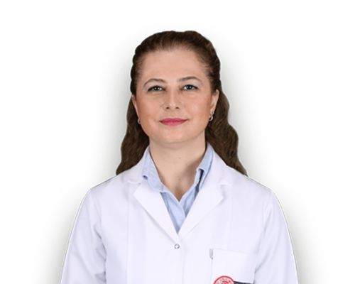 Assoc. Dr. Derya Bayırlı Turan