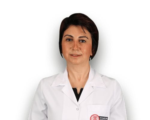 Prof. Dr. Lecturer Prof. Dr. Fusun Güneşdoğdu