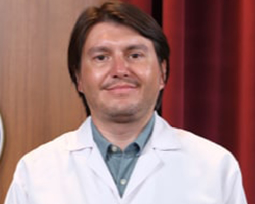 Doç. Dr. Ahmet GÜL