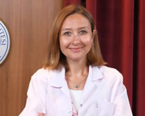 Assoc. Prof. Dr. Hesna GÜL