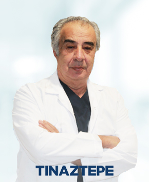 Prof. Dr. Ahmet Volkan Uçkan