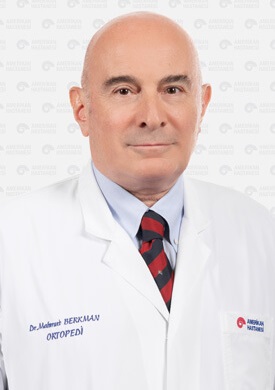 Prof. Dr. Mahmut Berkman