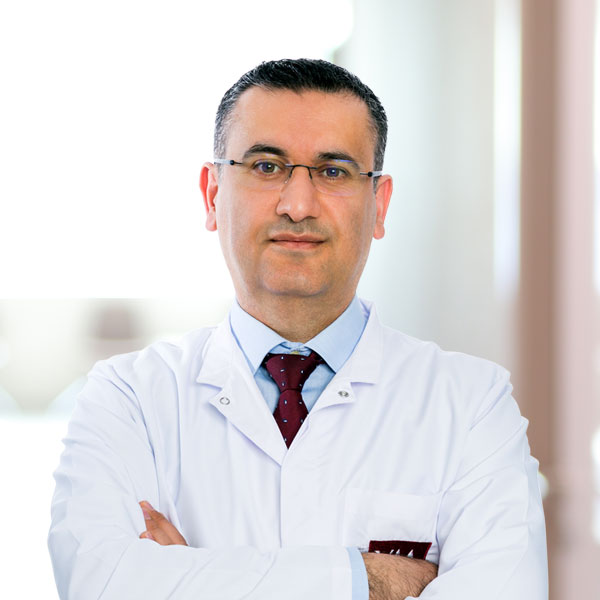 Assoc. Prof. Dr. Mehmet Akif Sargın 