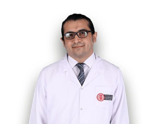 Assoc. Dr. Ali Doğan