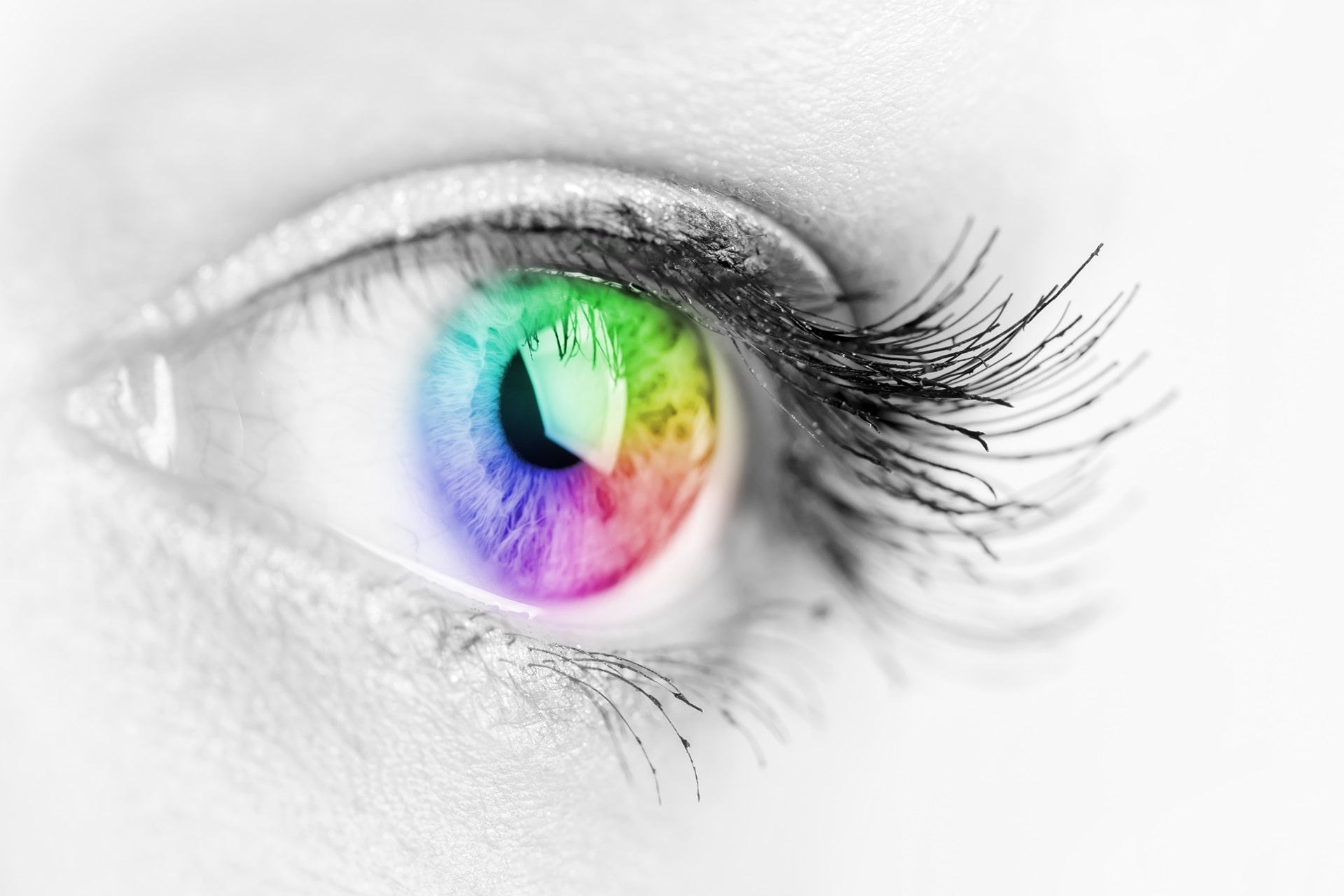 What is color blindness?