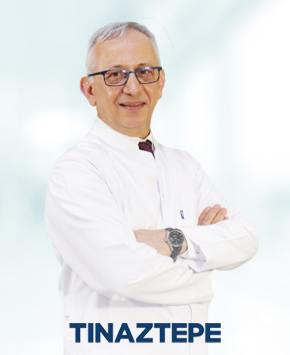 Prof. Dr. Erdal Aktan