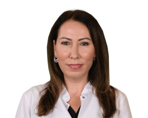 Assoc. Prof. Dr. Ülkü Figen Demir