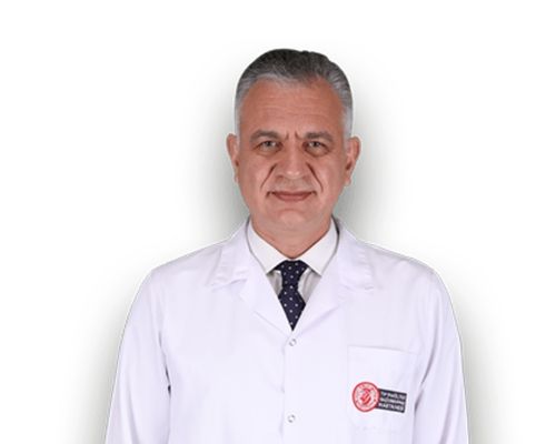 Prof. Dr. Berkan Mersa